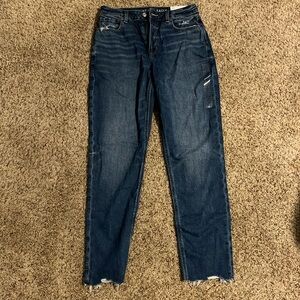 American Eagle Mom Jean, size 6